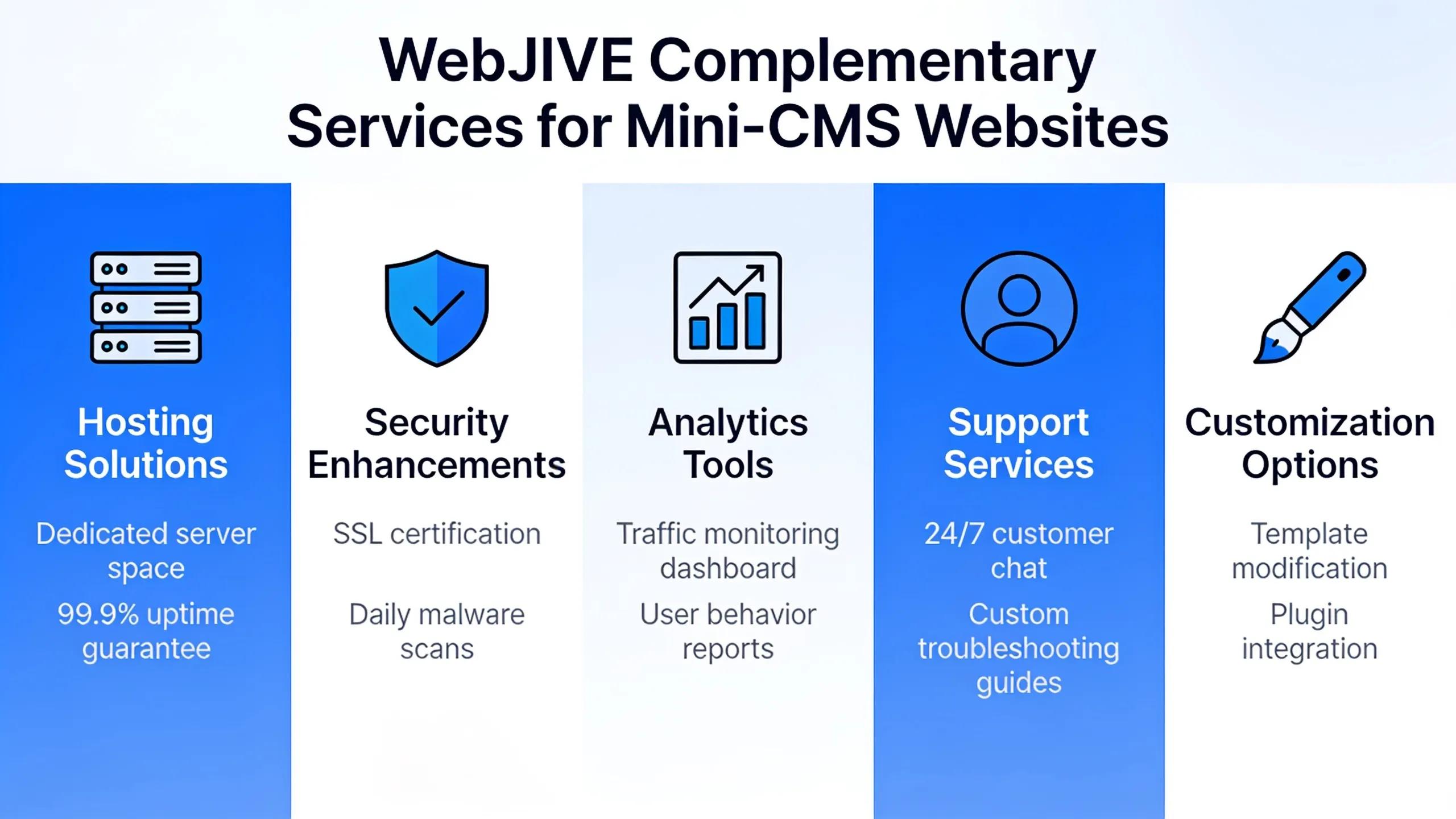 Which Complementary Services Does WebJIVE Offer to Support Mini-CMS Websites